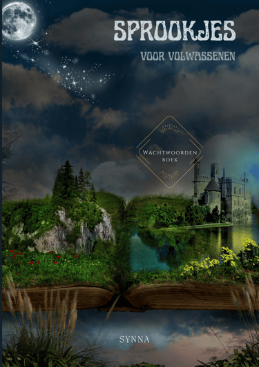 voorkant van wachtwoordenboekje Sprookjes voor volwassenen en een fantasie kasteel uit een boek