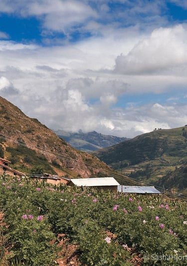 Wilcacocha landscape view in Huaraz, Peru