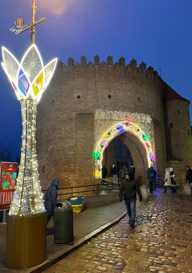 Warsaw city walls