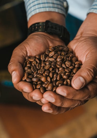 Cafe de especialidad de la region Coatepec 