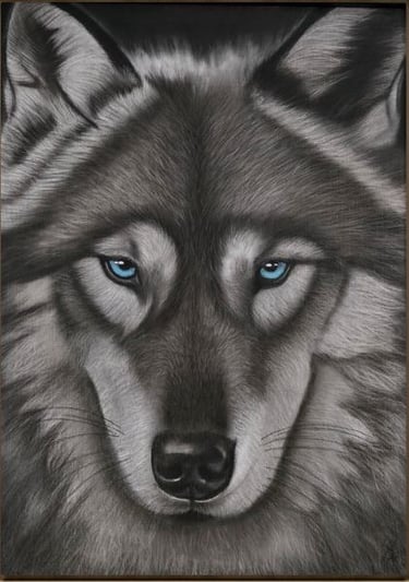 Regard de loup - dessin d'Élodie Pinchon. ce portrait de loup révèle toute la majesté de l'animal. 