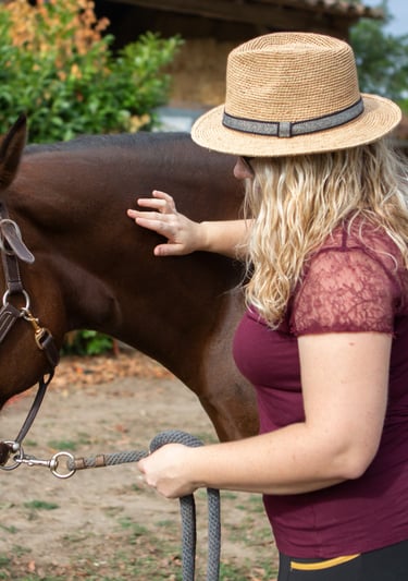 Détente d'un cheval par une thérapeute