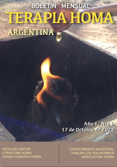 newsletter terapia homa argentina