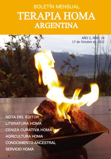 newsletter terapia homa argentina