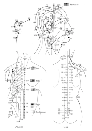 schéma dessiné du corps humain parcouru des méridiens de la médecine chinoise