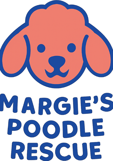 Margie's mini poodle and toy poodle rescue