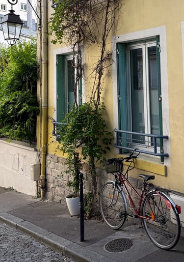 Volets accordéon en tôle persienné qui se replient dans le tableau de fenêtre