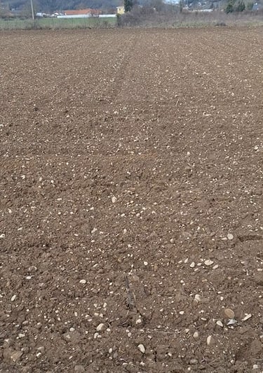 terrain agricole après avoir été labouré