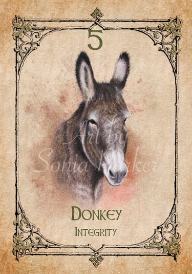 Donkey, a card from the animal spirit oracle deck