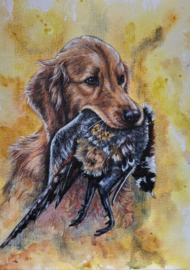 De golden retriever keert terug, trots en toegewijd, met de fazant zacht in zijn bek. In dit stille 