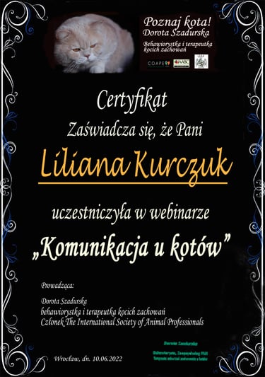 Webinar komunikacja u kotów (Dorota Szadurska).