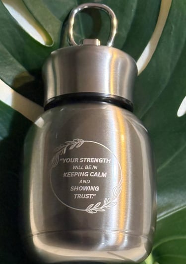 Silver Gray Stainless Steel Mini Insulated Mug with a motivational quote