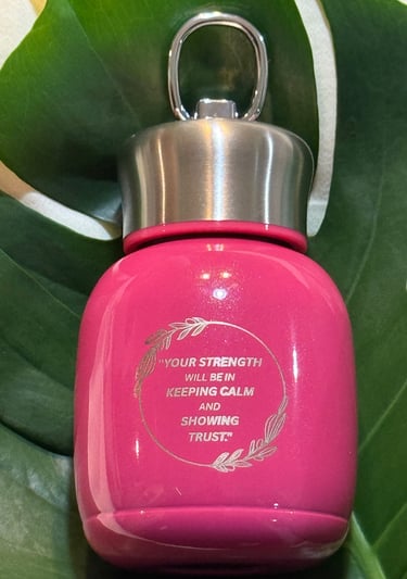 Velvet Stainless Steel Mini Insulated Mug with a motivational quote