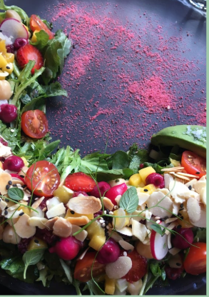 a salad with tomatoes and cheese on a plate at the woman's retreat in Mexico