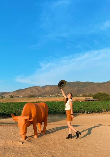 UNA MUJER DISFRUTANDO DE VALLE DE GUADALUPE FRENTE A VIÑEDO