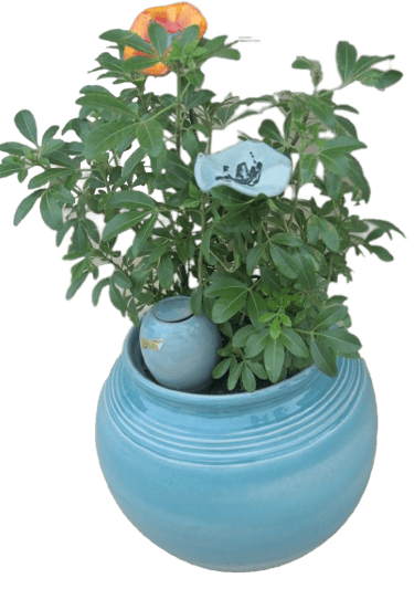 Pot de fleur Boule bleu turquoise