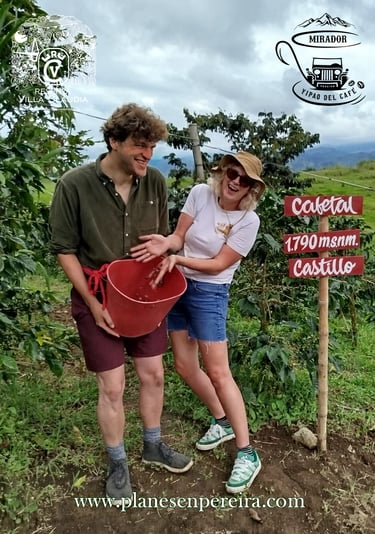 fincas turísticas de pereira