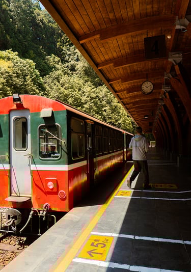 Alishan Forest Railway Train