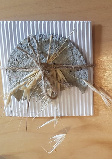 fabrication de papier à partir de recyclage de boite d'oeufs