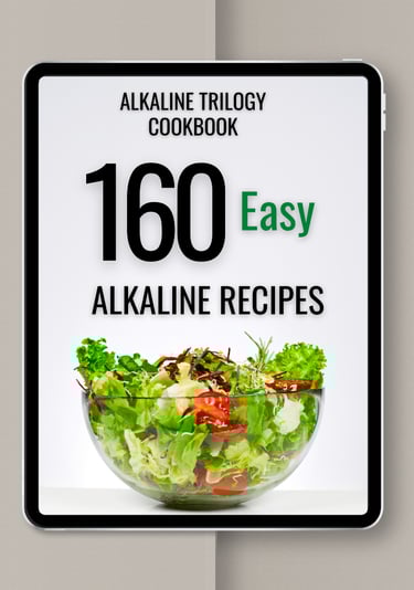 160 alkaline diet mockup