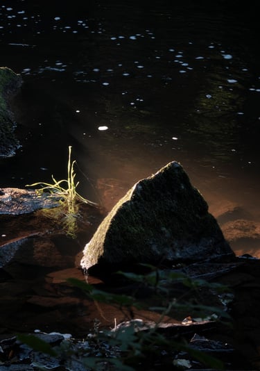 a small stream of water with rocks and grass