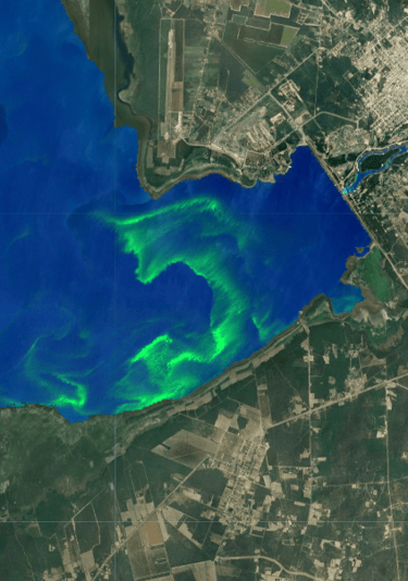 Floración de cianobacterias en el embalse Río Hondo, falso color Sentinel-2