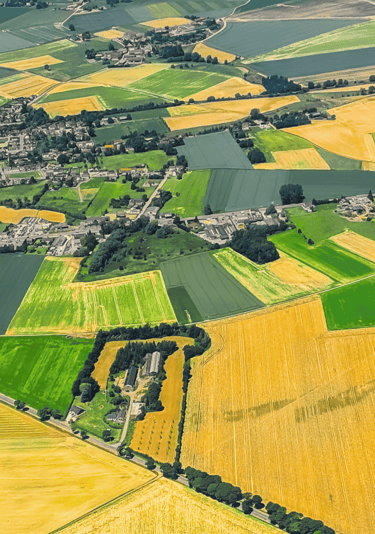 Buy, sell, invest, expand your land