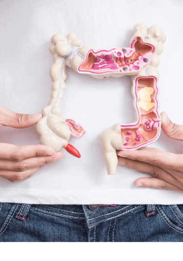 microbiote intestinale