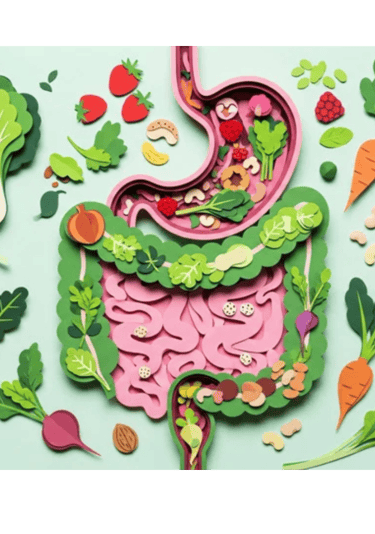 illustration d'un intestin