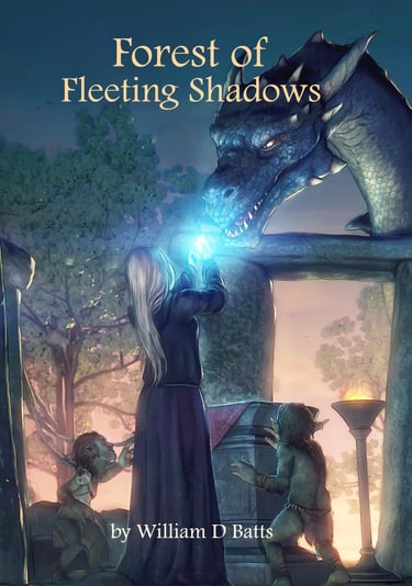 Forest of fleeting shadows teens fiction ebookk