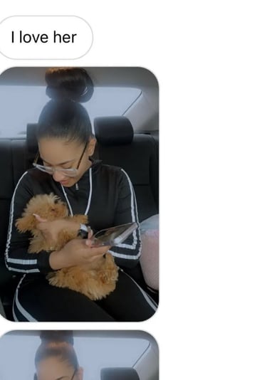 Maltipoo Puppies for Sale