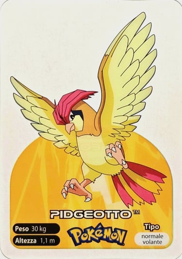 17 Pidgeotto lamincards spécial édition