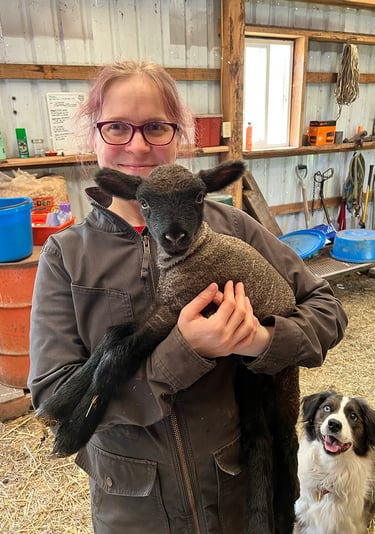 Rachael holding a lamb in her barn