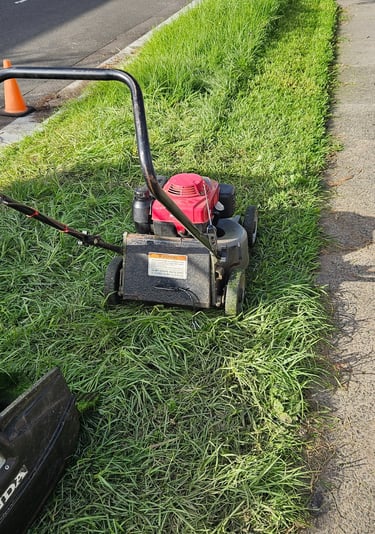 Landscaping, Lawn mowing, edging & all Gardening maintenance services