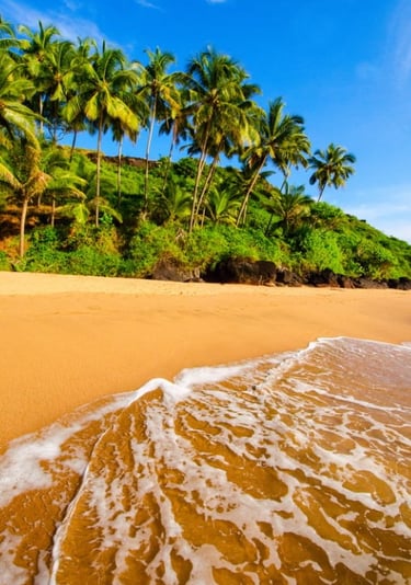 Goa tour