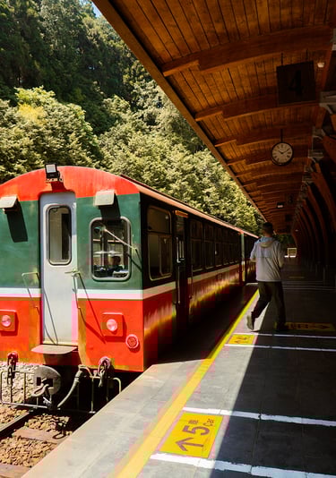 Alishan Forest Railway Train