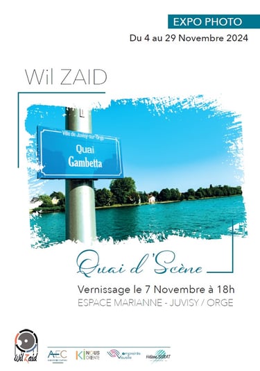 Affiche exposition photo Wil ZAID