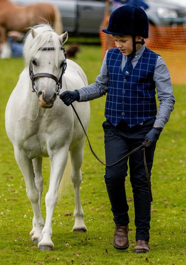 Kid leading horse in a class at Cwmdu Agricultural show
