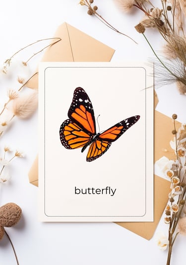 Montessori flash card butterfly bilingual English Spanish real photograph