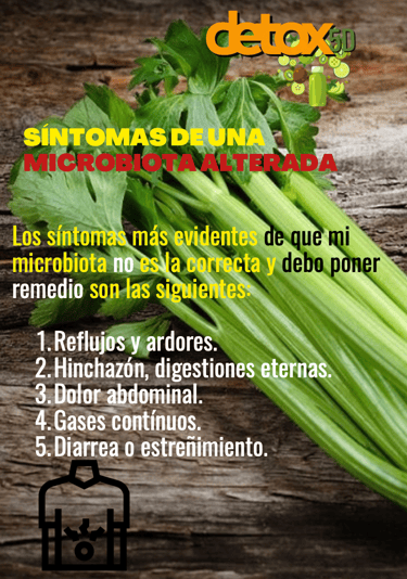 Síntomas de una microbiota alterada