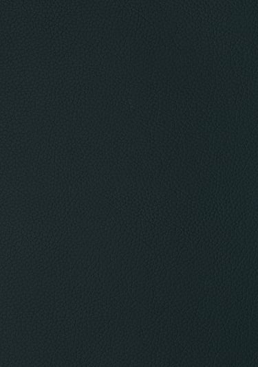 Rainforest Green Colour Leather Laminate
