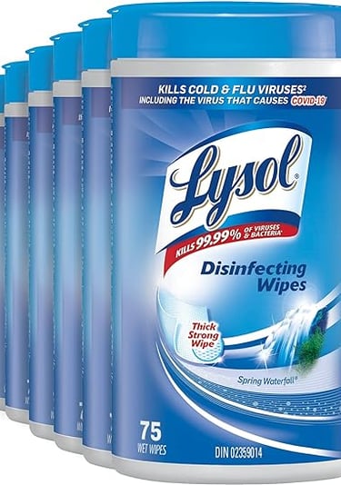 Lysol Wipes - Rosie Dazzlers Mobile Auto Detailing