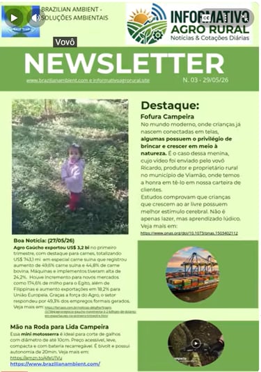 Newsletter 03 de 29 de maio de 2026