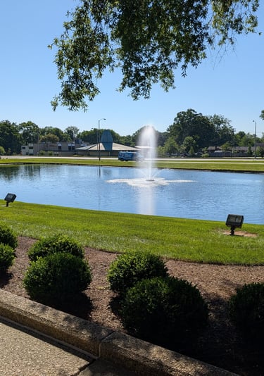 A scenic office park pond with a water fountain surrounded by green lawn and manicured shrubs.