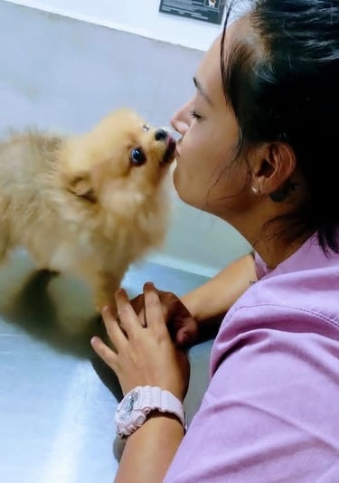 Veterinaria dueña de veterinaria pekes besando a perrito