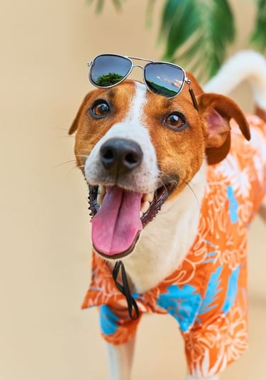 pero terrier feliz con camisa hawaiana y gafas de sol