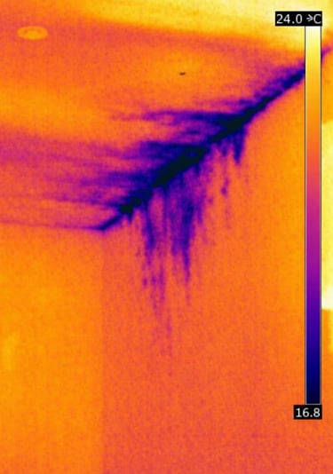 a thermal camera image 