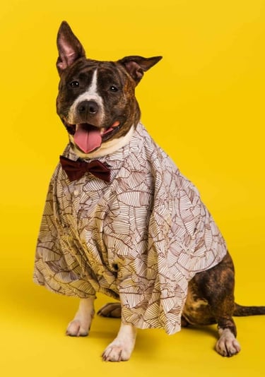 Perro con corbata y camisa