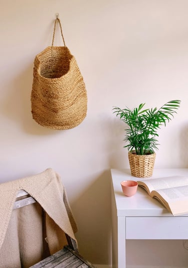 a plant in a room with a plant in the background