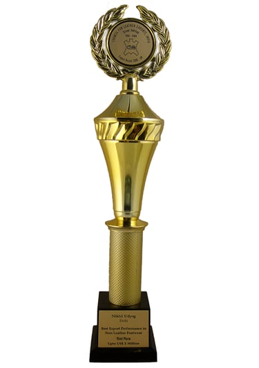 Best Export Performance in Non Leather Footwear-First price 2008-09